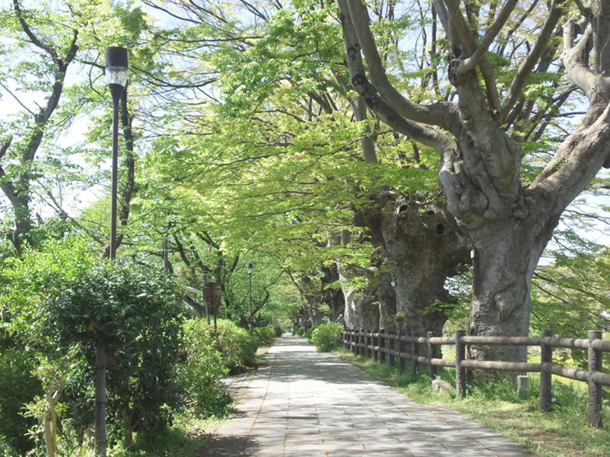 Melyek a legjobb hotelek Hikone Castle k\u00F6zel\u00E9ben? Kültér fotó